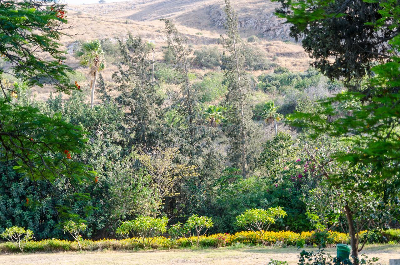 Bait Alfa Kibbutz Country Lodging Bet Alfa Habitación foto
